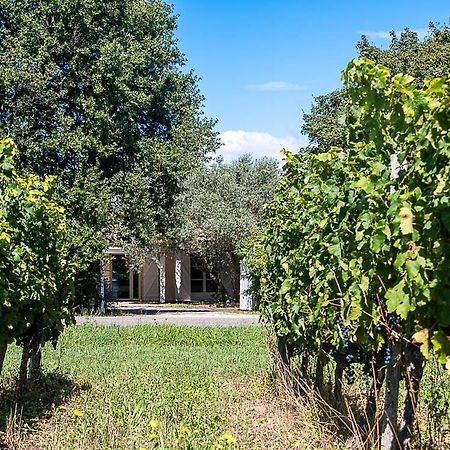 Au Detour Des Vignes Acomodação com café da manhã Ordonnac Exterior foto