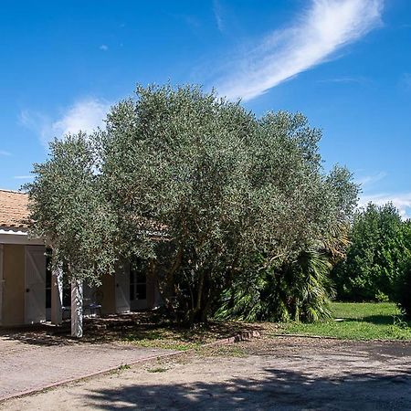 Au Detour Des Vignes Acomodação com café da manhã Ordonnac Exterior foto